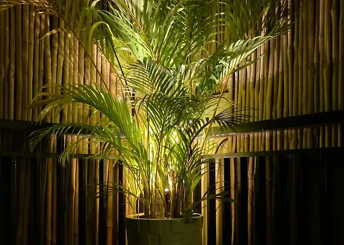 Lotus Haven Hotel Siem Reap